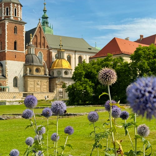 wawel